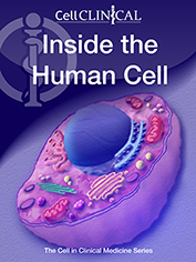 IHC